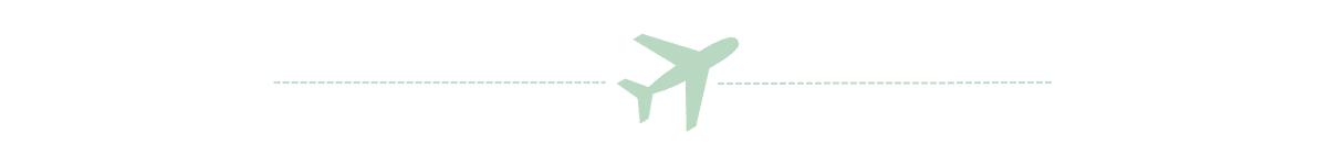 Icon mit einem Flugzeug