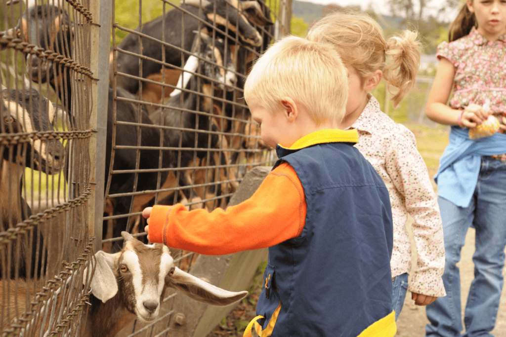 steigende Kinderkosten durch Tierpark Ausflug